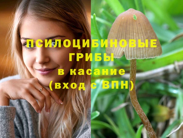 PSILOCYBIN Пересвет
