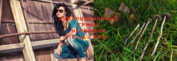 винт Пестово