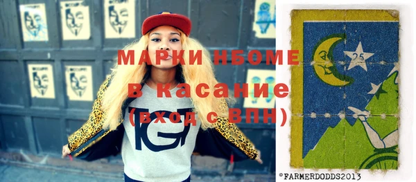 индика Осташков