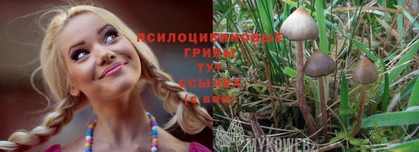 винт Пестово