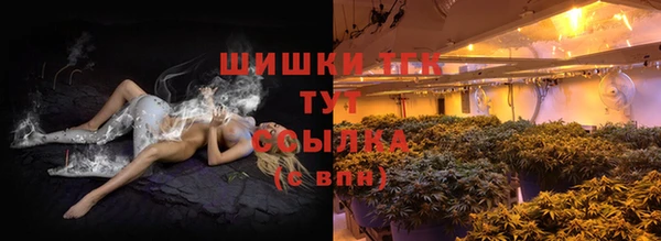 PSILOCYBIN Пересвет
