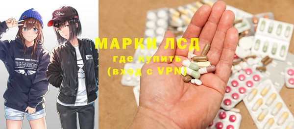 ПСИЛОЦИБИНОВЫЕ ГРИБЫ Куртамыш