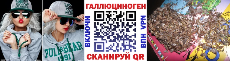 Псилоцибиновые грибы Psilocybine cubensis  mega вход  Конаково 